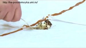 таблетки для стирки Lotta