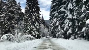 Грузия. Отдых. Зимняя сказка в Раче. Дорога на курорт Шови