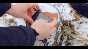 Камера смартфона против "мыльницы"