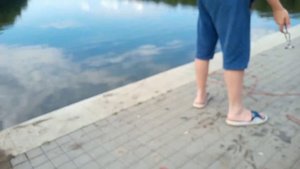 МЫ ПОЙМАЛИ... СМОТРИТЕ В РОЛИКЕ!!!!?????