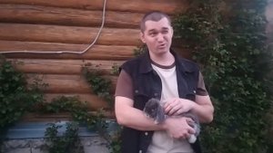 Почему кролик кусается и рычит?