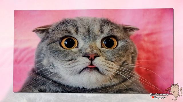 Полнолуние