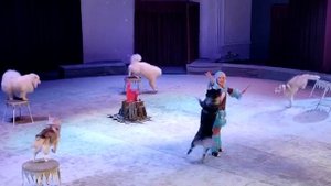 уголок дедушки Дурова