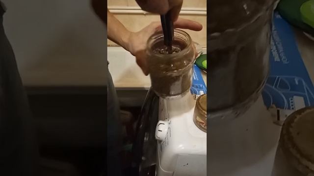 выращивание мицелия вешенки из гриба смотреть онлайн