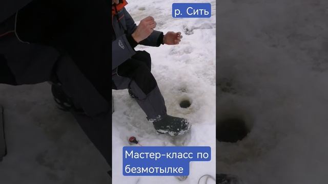 рыбалка на Рыбинском водохранилище. Река Сить