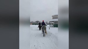 Парк-отель "Колкуново" (Россия, Тверская область)