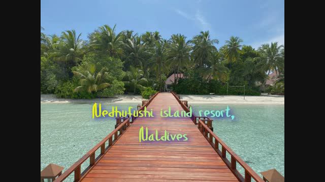 Обзор отеля Medhufushi island resort. Мальдивы.