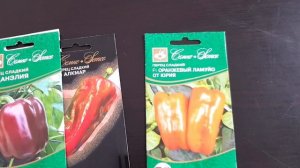 Коллекция Сортового Перца. Крупноплодные, толстостенные и мегаурожайные сорта перца сладкого.