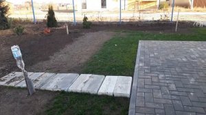 Подзимний посев газона