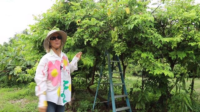 Monday Minute- Two GREAT Dooryard Tropical Fruits: Carambola & Barbados Cherry