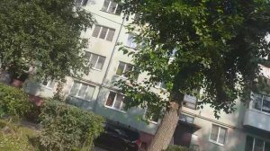 испитание для 3 рома ратмир и мстфа