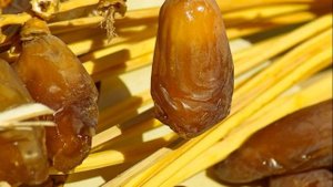 Как хранить финики