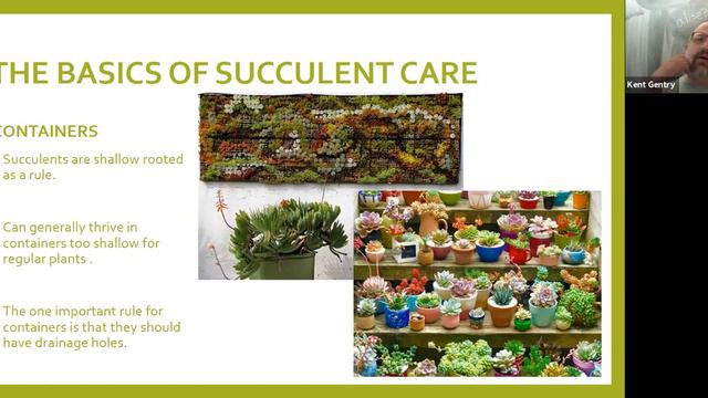 All About Succulents | Friends of the Oak Park Conservatory смотреть онлайн