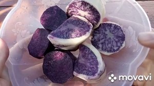 Фиолетовая картошка! Отличается от обычной или нет? Пробую на вкус.