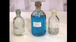 Биологиалық нысандарда нәруыздың болуы