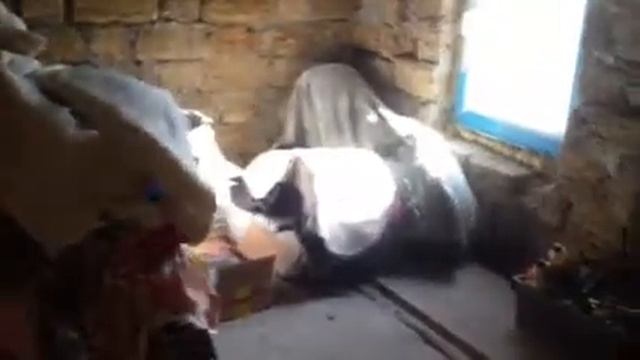 ВЯТКA ВП-150 смотреть онлайн