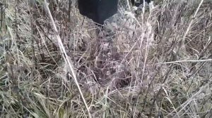 Полноповоротный прицепной мини экскаватор.