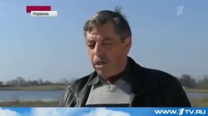 Волки нападают на села.