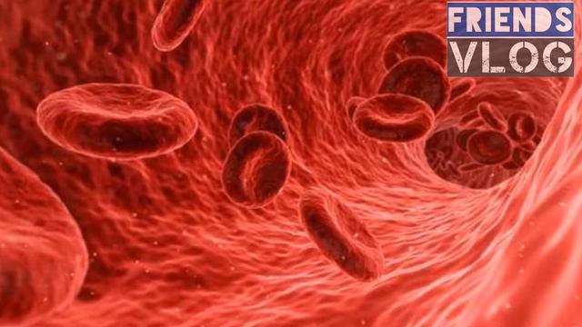 Sugar Alternative Plant | Stevia Uses | Documentary about Stevia Plant (Urdu / Hindi) смотреть онлайн