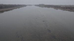 Падение квадрокоптера DJI AIR 2S. Квадрокоптер сбила птица. Квадрокоптер упал в реку