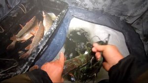 Сеть от FISHING PRO Геннадия ! Проверка сети! Рыбалка 2022!