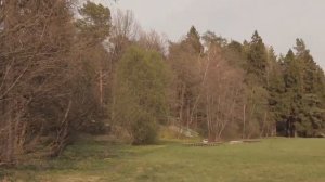 Лагерь просыпается