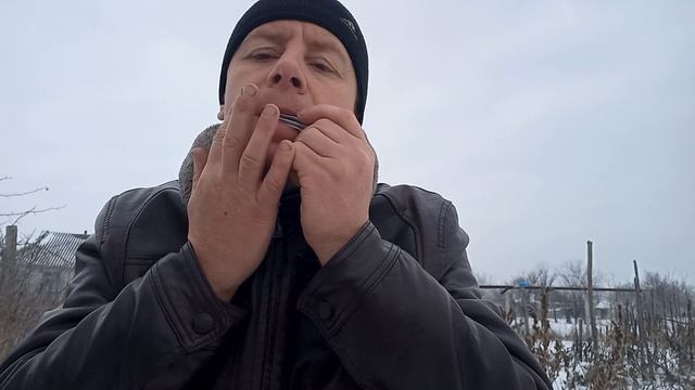 Ексклюзивний варган Майстра Дмитра Дзюби. Нота фа великої октави. смотреть онлайн