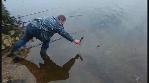 ЧТО ДЕЛАЮТ РЫБАКИ, когда НЕ КЛЮЕТ.  Приколы!!!