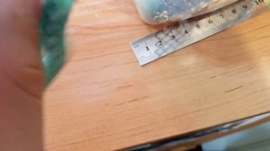 Что такое табачный бражник/содержание табачного бражника/разведение табачного бражника/ящерица ест.