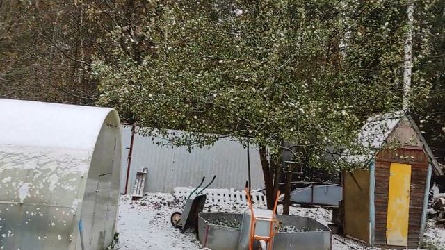 Сегодня 27.10.2023 в Подмосковье выпал первый снег смотреть онлайн