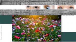 Тема 14. Крестьянские дети в жизни и творчестве Н.А. Некрасова. Стихотворение «Крестьянские дети»