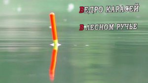 ПЕРВАЯ РЫБАЛКА НА ПОПЛАВОК 2024!!!ВЕСЕННЯЯ РЫБАЛКА НА КАРАСЯ 2024!