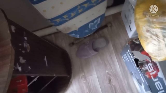 Делаем дела потихоньку, готовлю кушать, приехал муж, привёз подарки от мамы