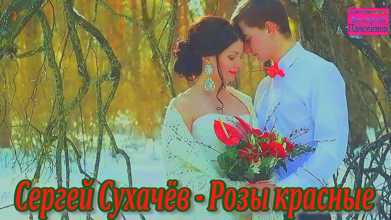 Сергей Сухачёв - Розы красные