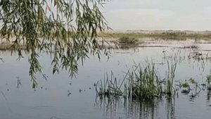 лодка малютка 2 + мотор болотоход на длинной ноге, шапсугское водохранилище.