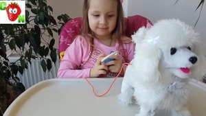 Собачка  интерактивная с пультом управления.Interactive dog with remote control.