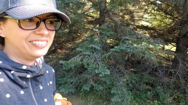 #vlog 25/2020 SUP, хайкинг с ребенком, первые картошка и помидоры смотреть онлайн