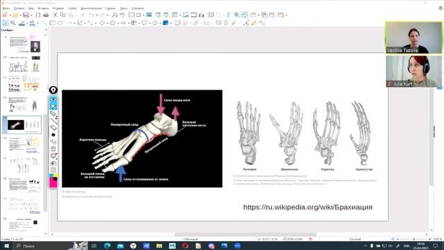 3D-анимация животных. Как подойти к походке четвероногих персонажей