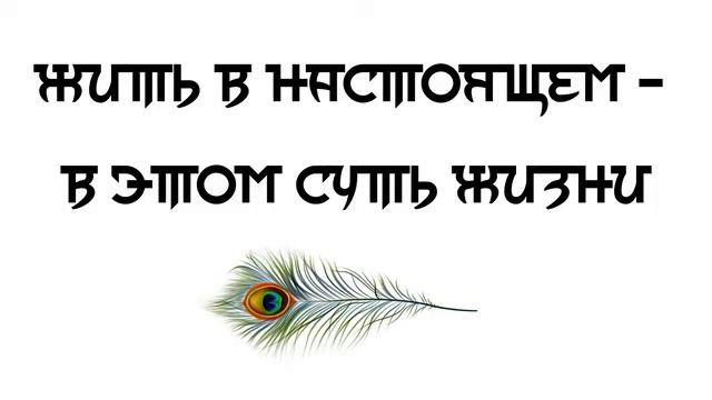 Жить в настоящем - в этом суть жизни. смотреть онлайн