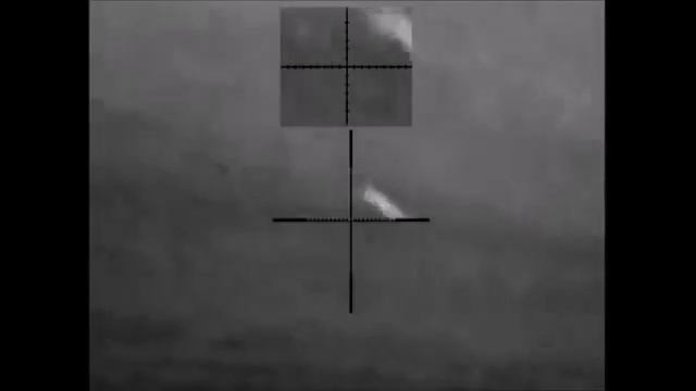 Наблюдение за лисой с тепловизора Pulsar Apex XD75 смотреть онлайн