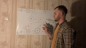 Аллергия. Часть 2. Патологическая физиология.