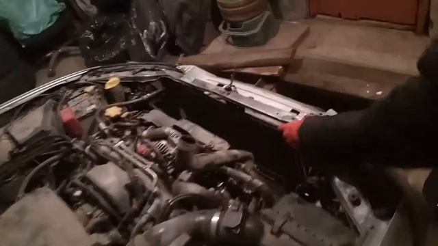 Волшебный дрын смотреть онлайн