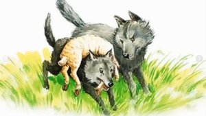 Как волки учат своих детей.