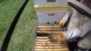 Борьба с роением пчел Противороевые методы называются "Хватит играться"