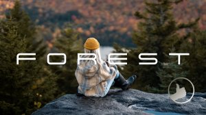 Forest | Beautiful Chill Music Mix