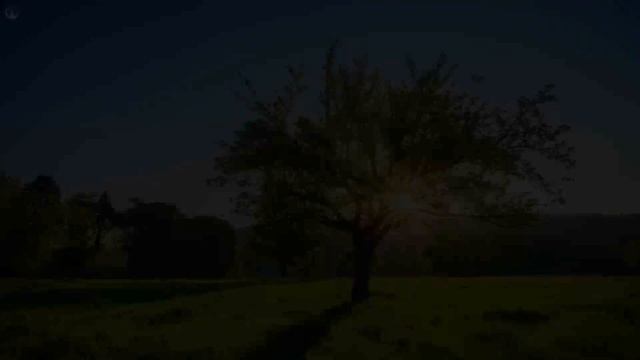 Music heals the heart and blood vessels? Calming music restores the nervous system, relaxing смотреть онлайн