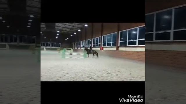 Квадрис продажа смотреть онлайн