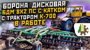 Борона дисковая БДМ 8х2 ПС в работе с трактором Кировец К-700