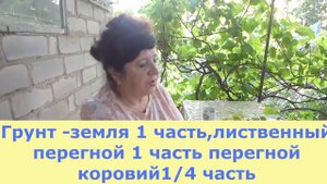 Пеларгония из семян Уход, пересадка, 2 важных подкормки.