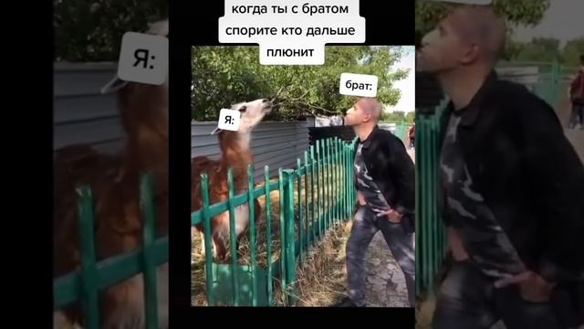 как из пистолета ?